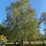 150m2 Dans Tres Grand Parc Arbore