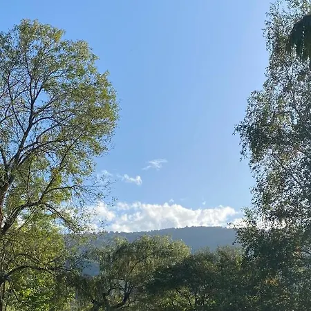 150m2 Dans Tres Grand Parc Arbore Villa