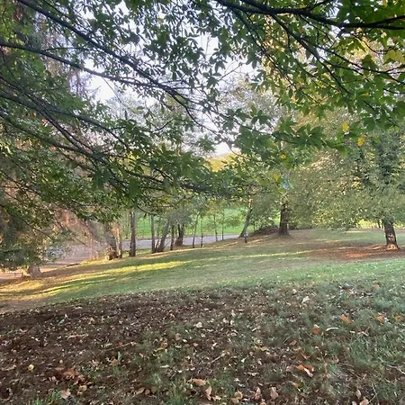 150m2 Dans Tres Grand Parc Arbore *